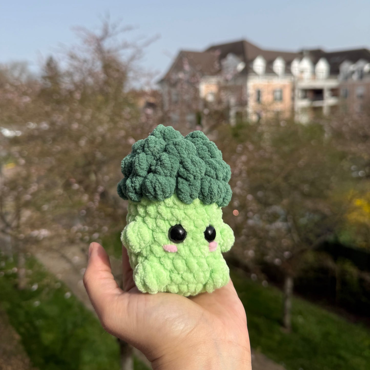 Petit Brocoli