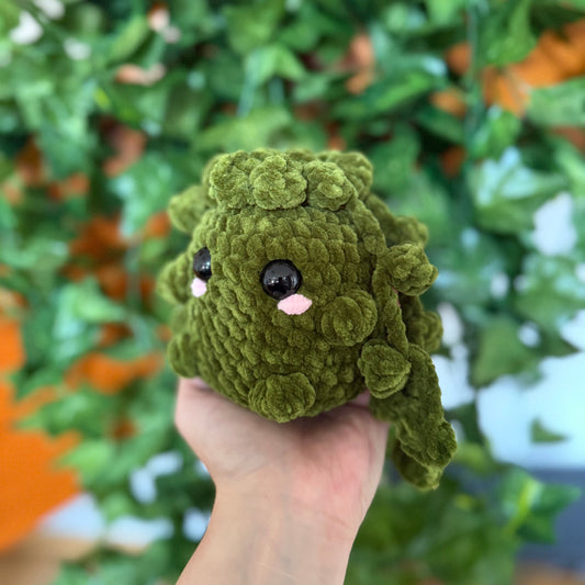 Plante Perles Mignonne