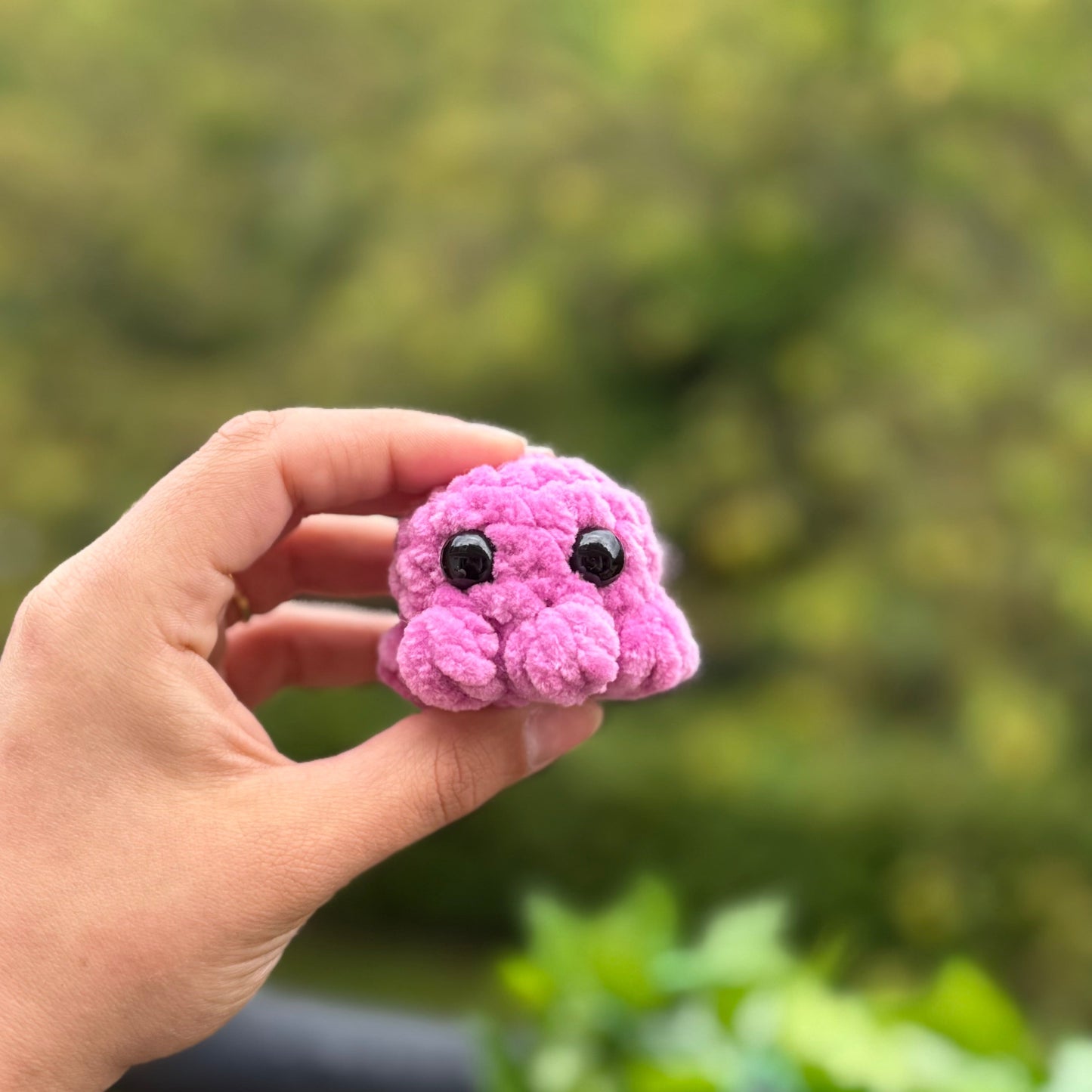 Mini Poulpe