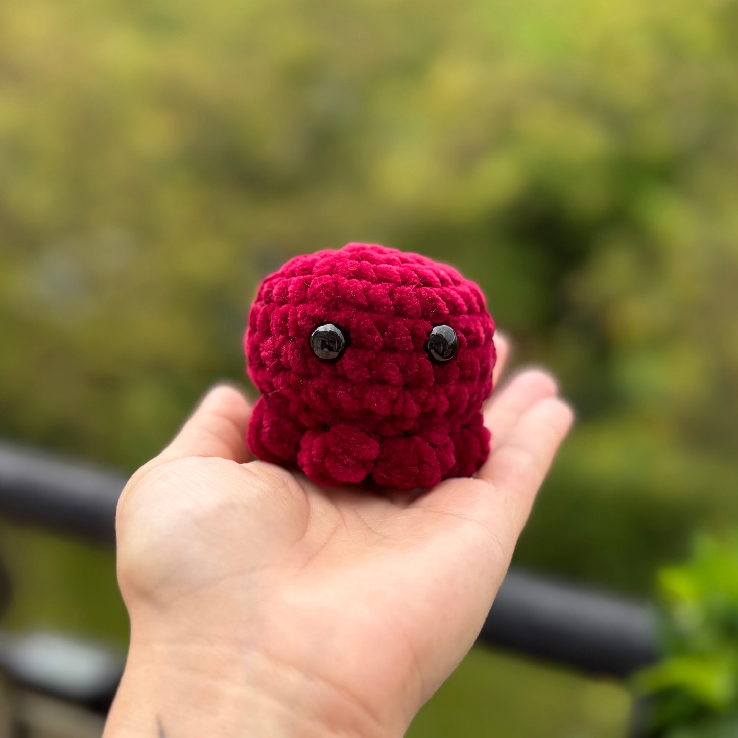 Petit Poulpe