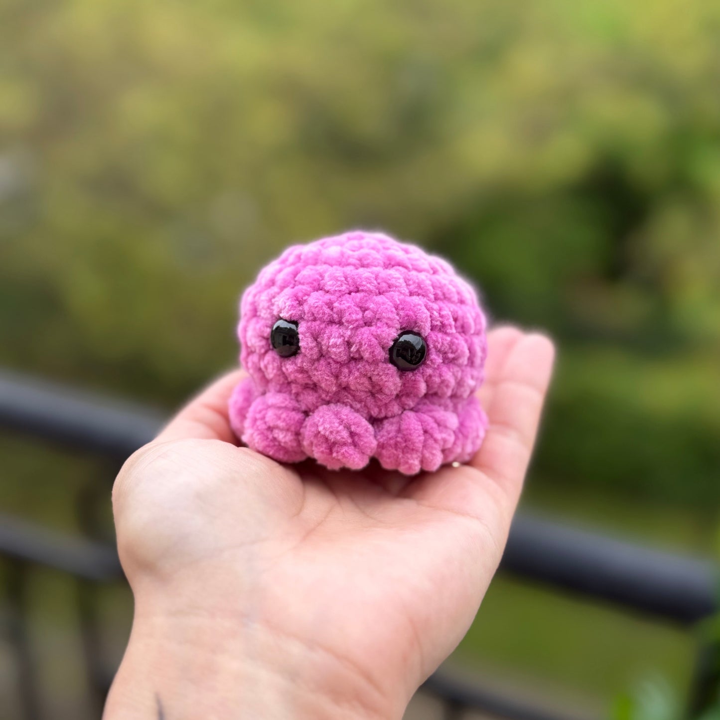 Petit Poulpe
