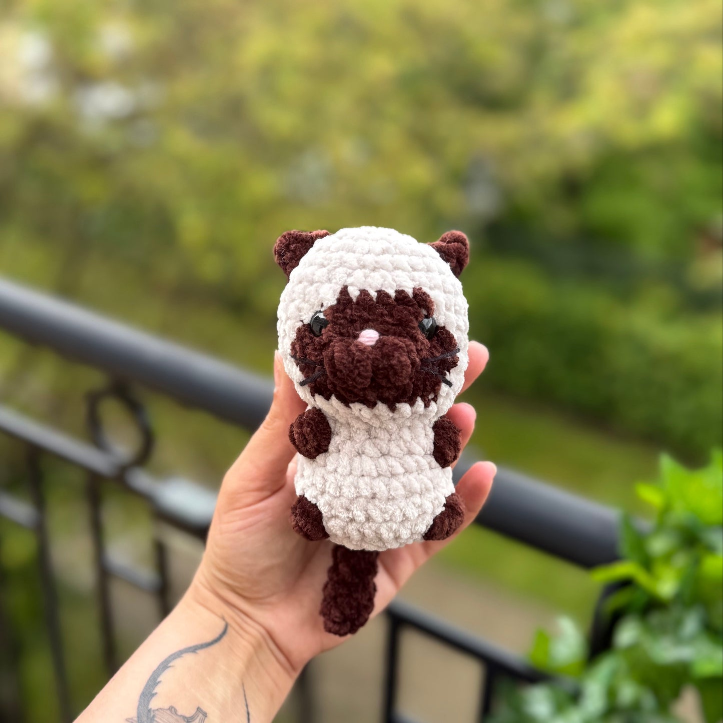 Petit Chat