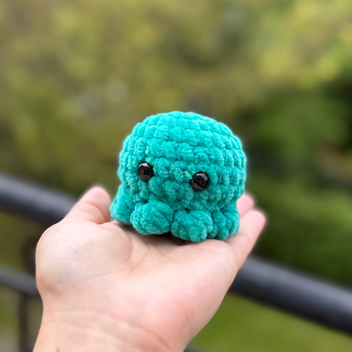 Petit Poulpe