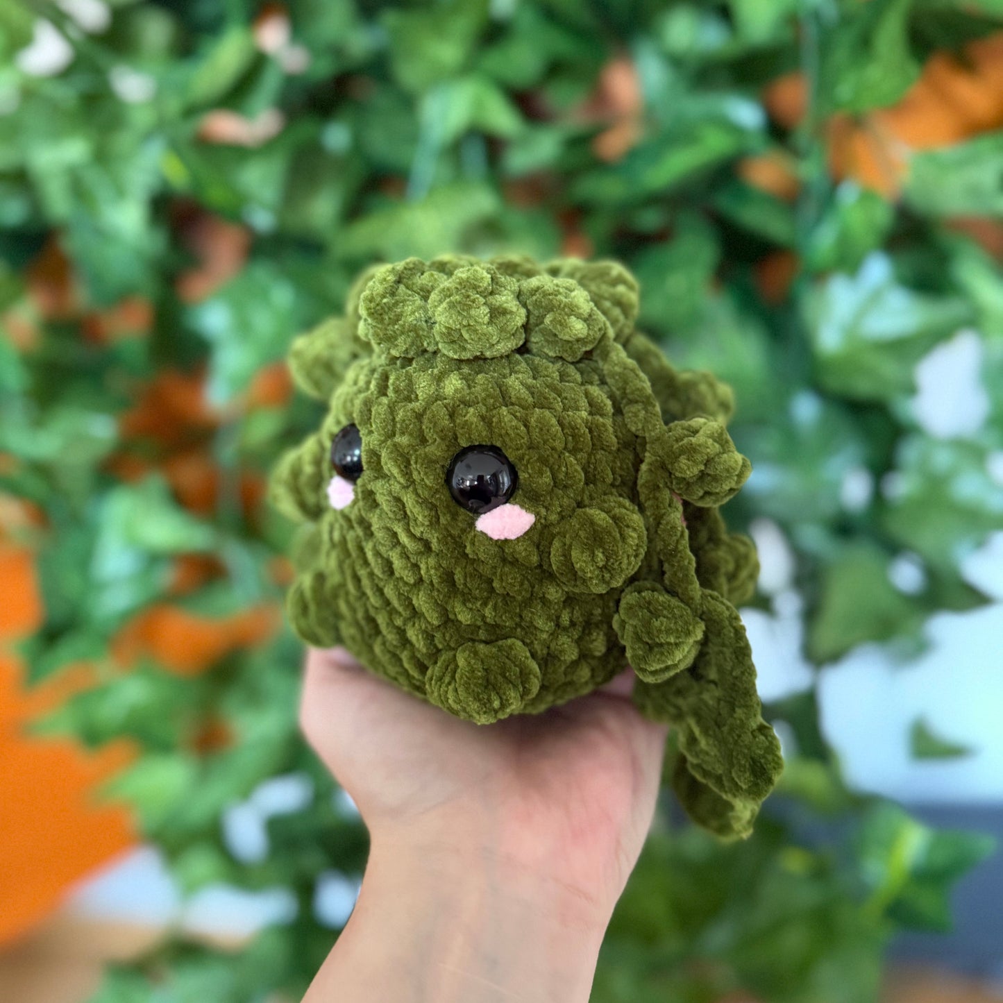 Plante Perles Mignonne