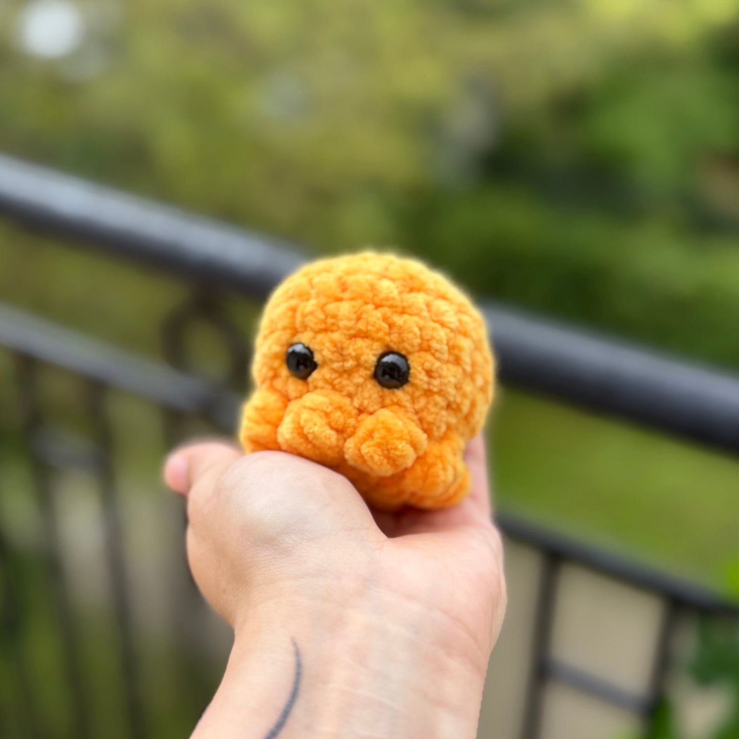 Petit Poulpe