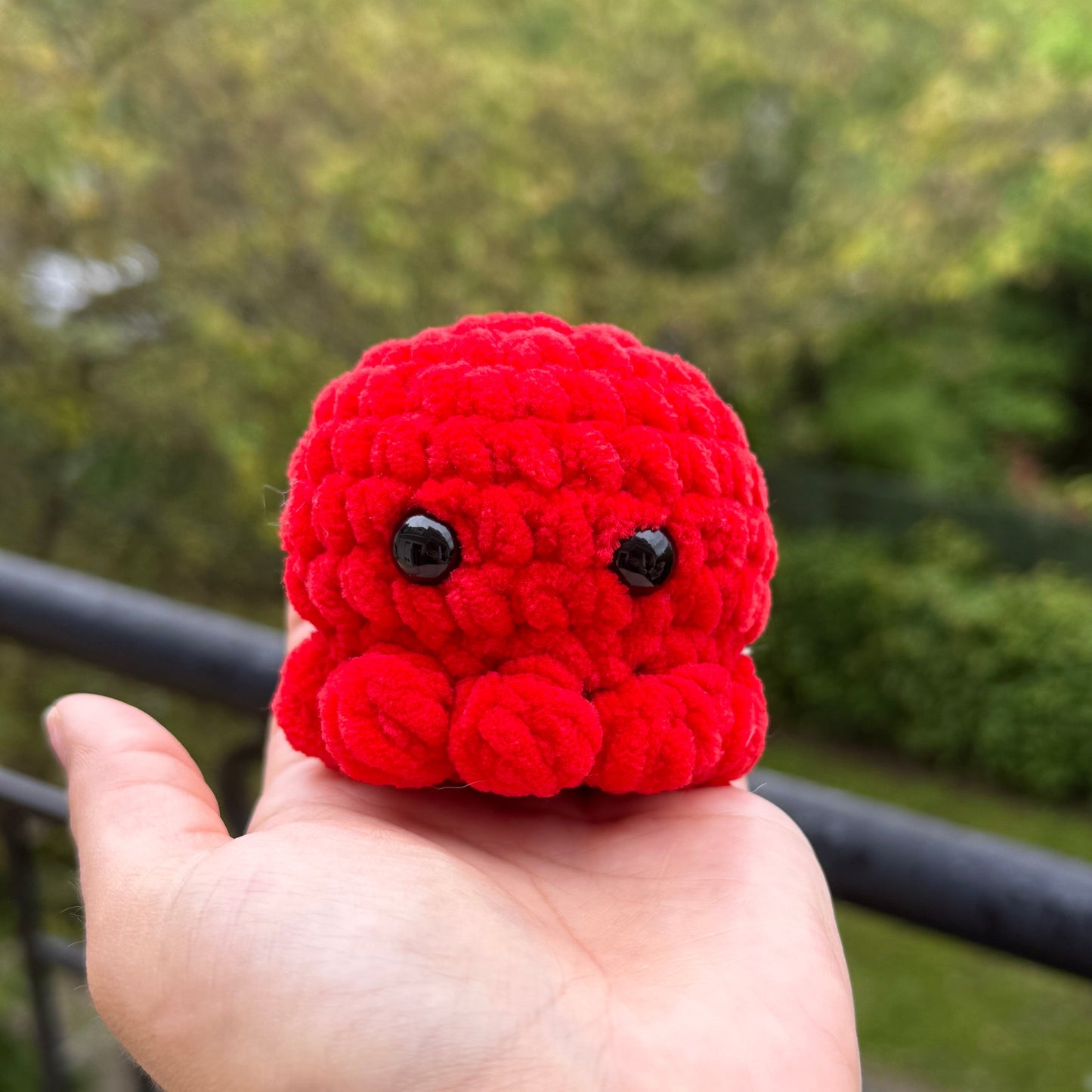 Petit Poulpe