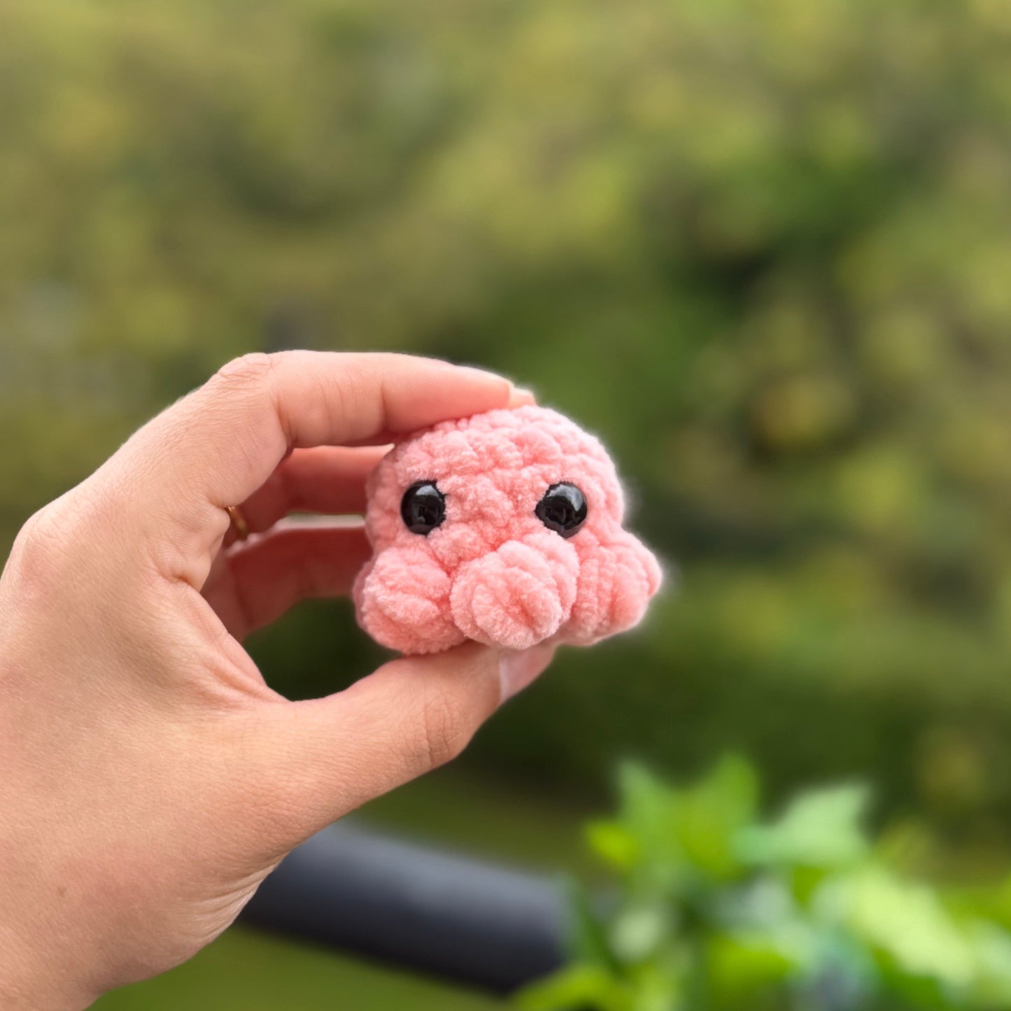 Mini Poulpe