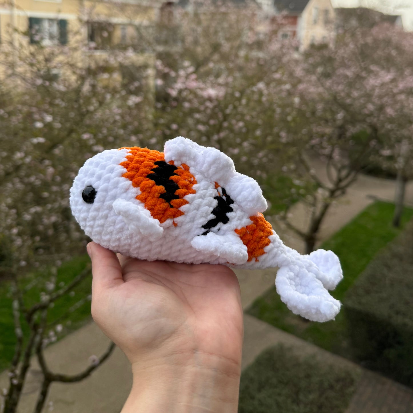 Carpe Koï