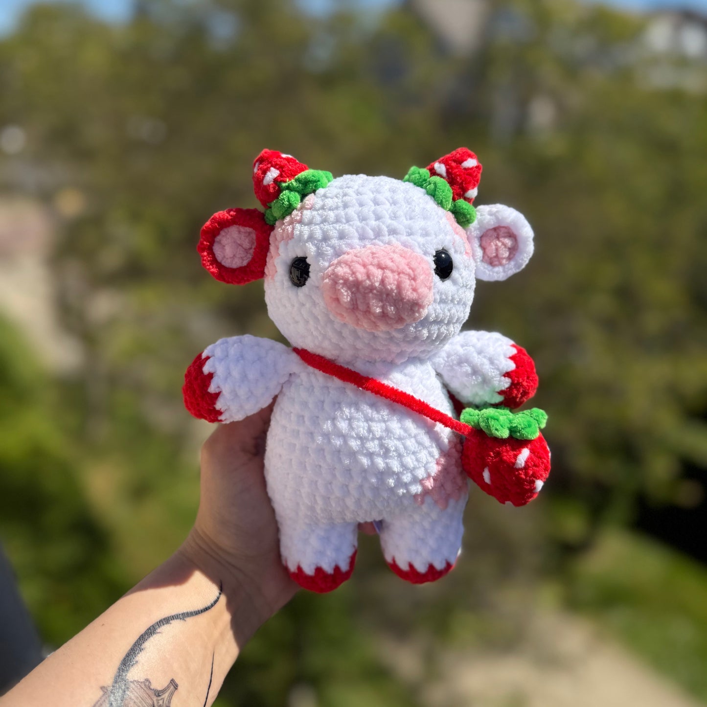 Vache Fruit