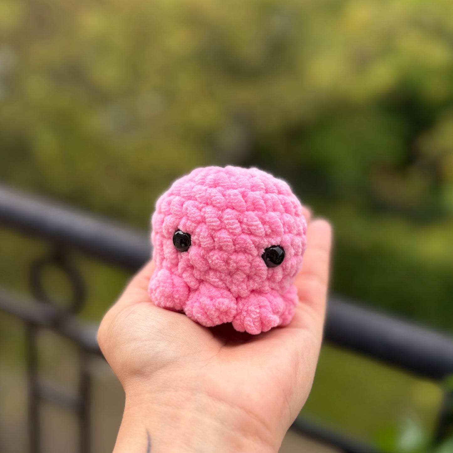 Petit Poulpe