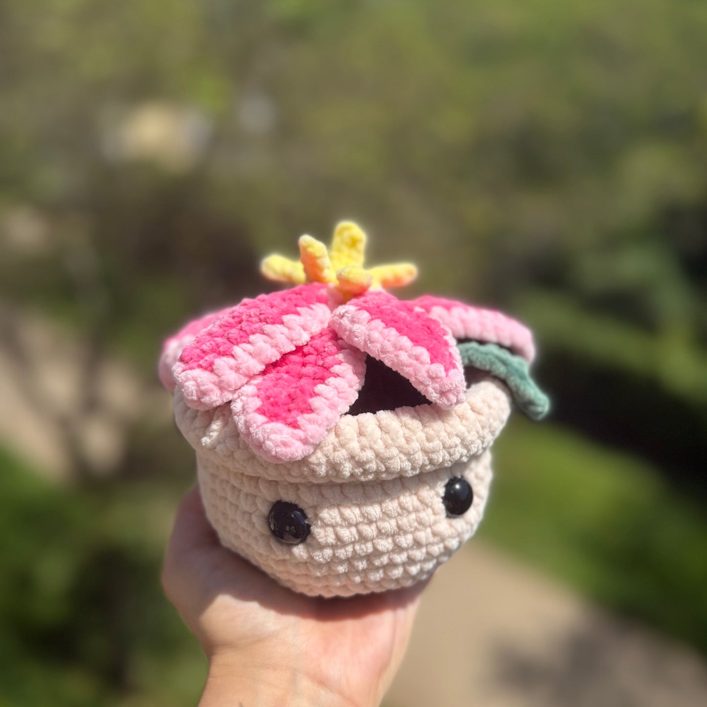 Fleurs en Pot Interchangeable