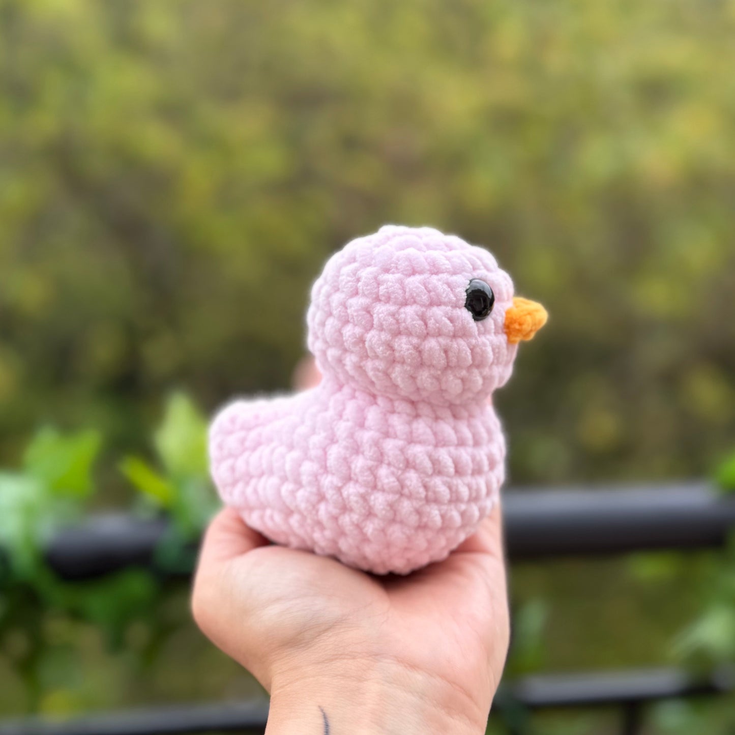 Petit Canard