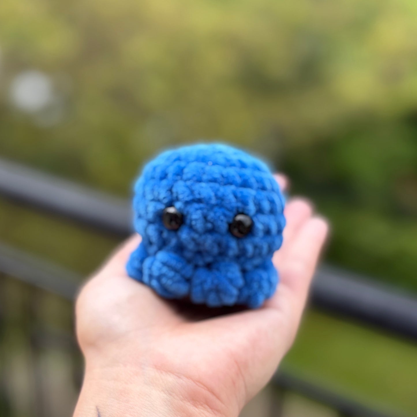 Petit Poulpe