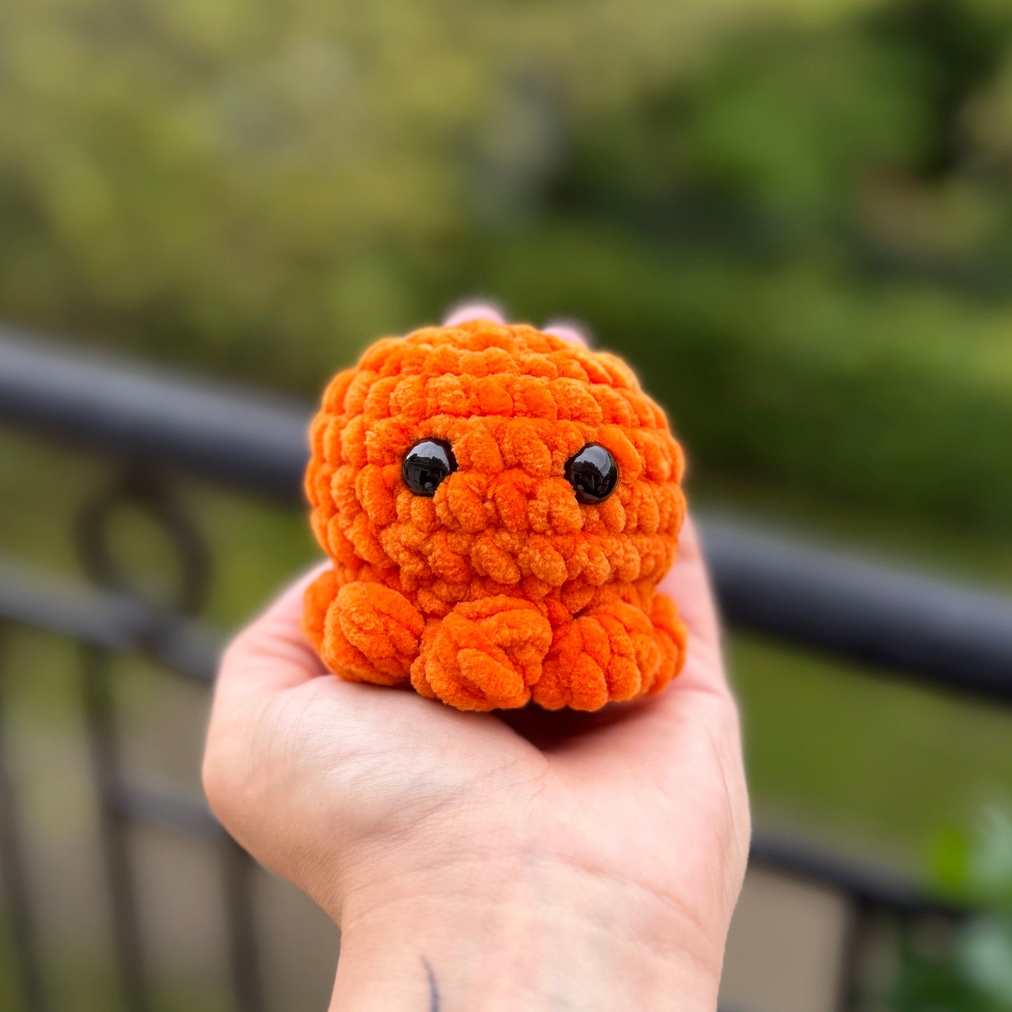 Petit Poulpe