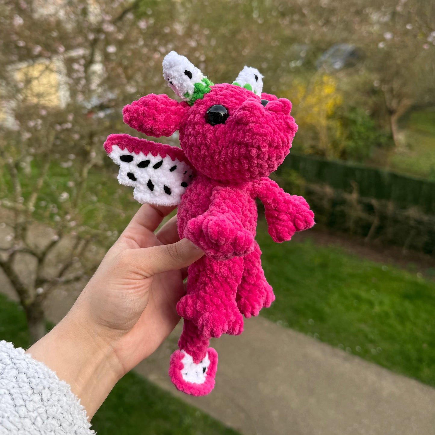 Dragon Fruit