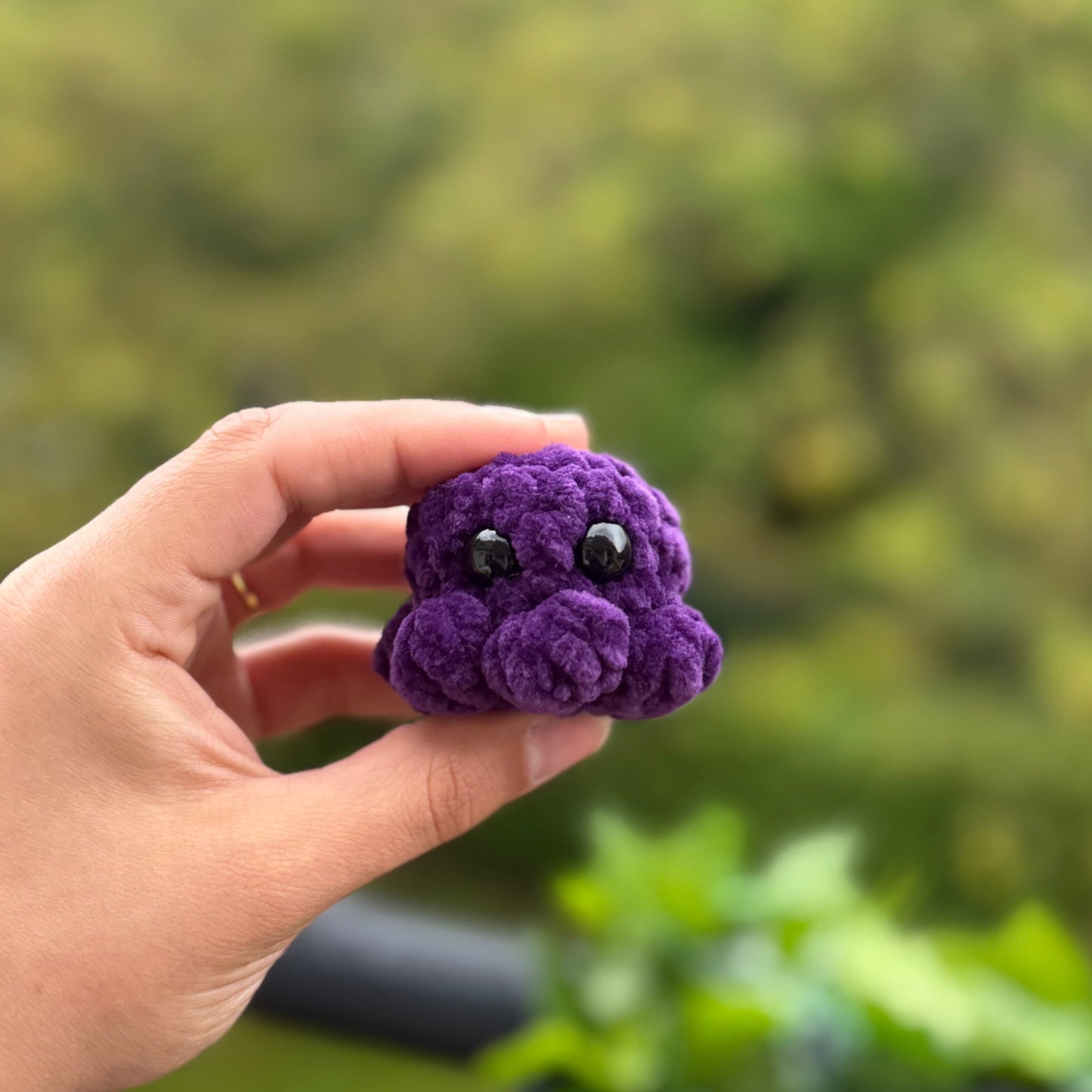 Mini Poulpe