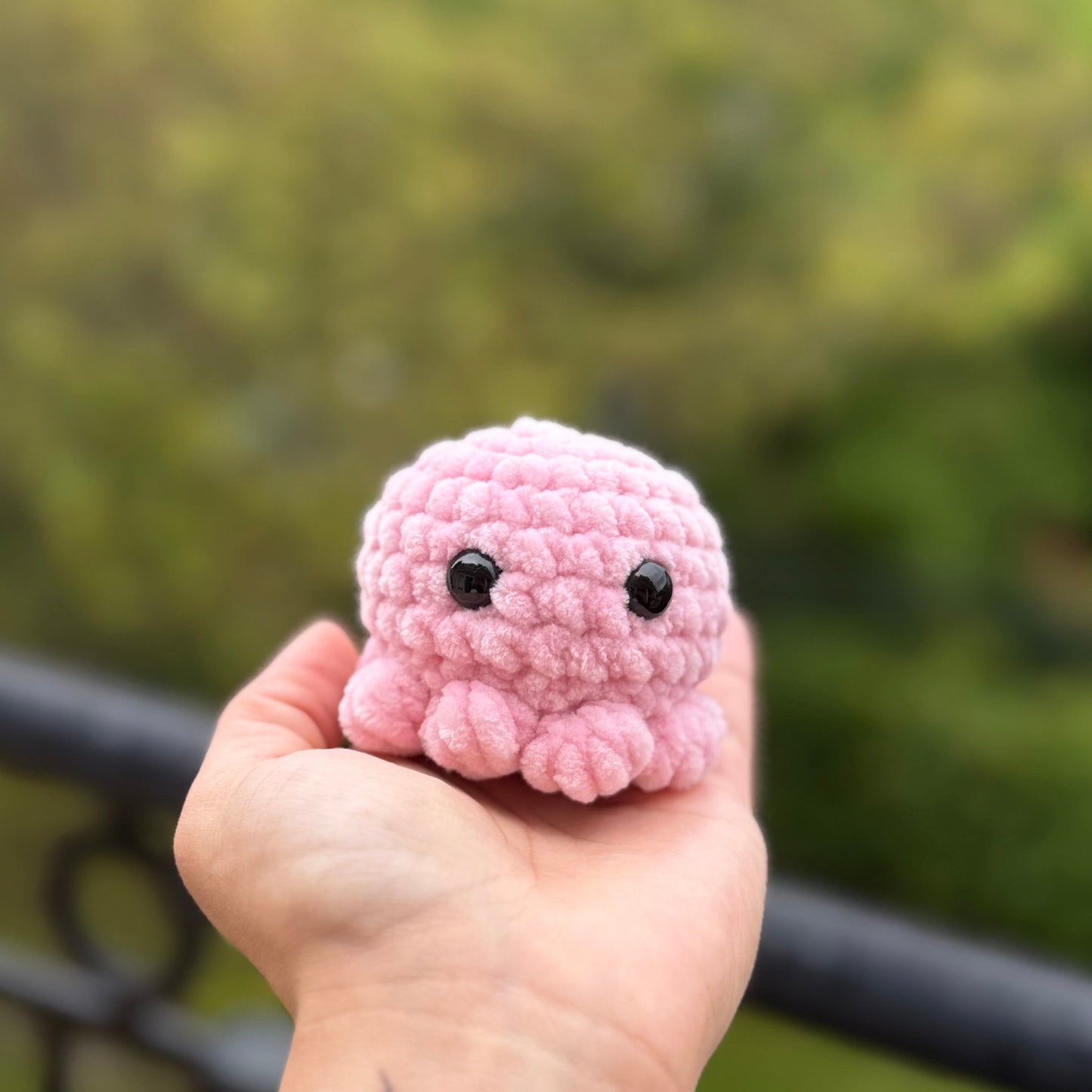 Petit Poulpe