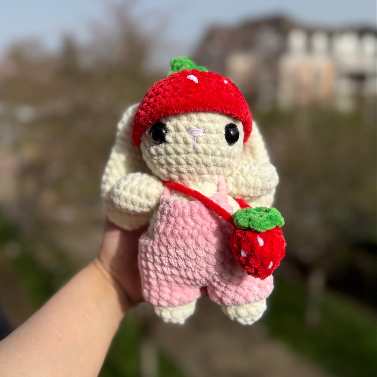 Lapin